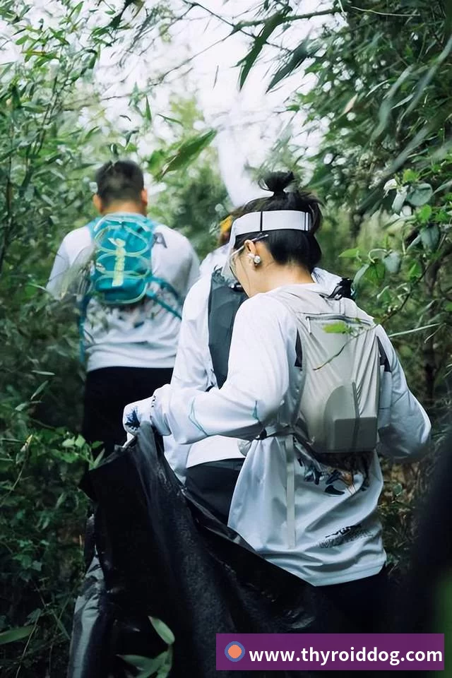 公司介绍